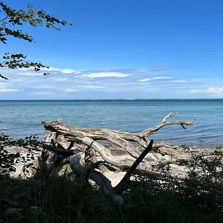 5 Star In Asnaes-by Traum Ferienhaus *